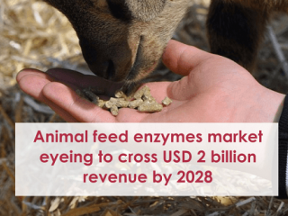 Animal feed enzymes market eyeing to cross USD 2 billion revenue by 2028