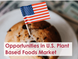 Opportunities in United States Plant Based Foods Market